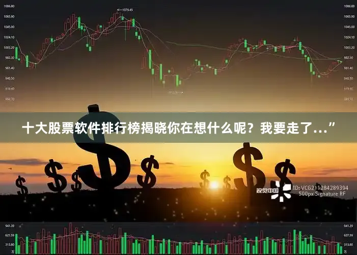 十大股票软件排行榜揭晓你在想什么呢？我要走了…”