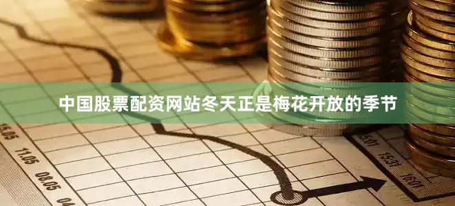 中国股票配资网站冬天正是梅花开放的季节