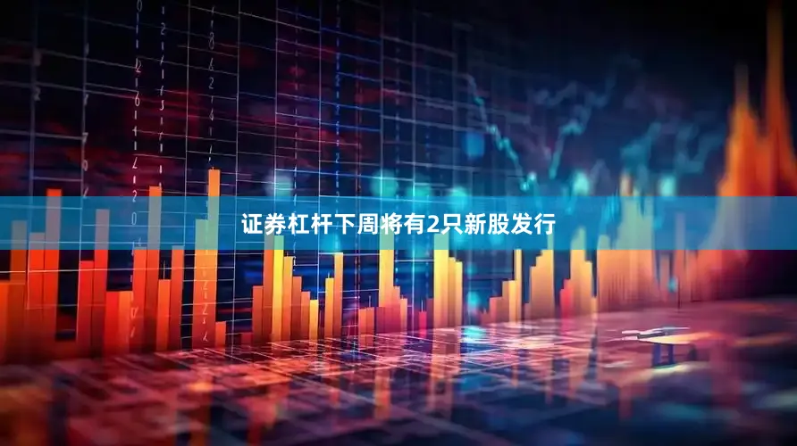 证券杠杆下周将有2只新股发行