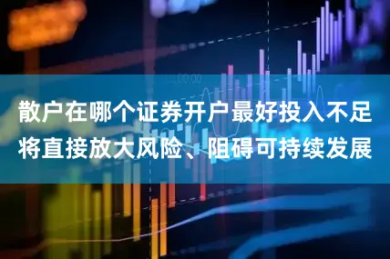 散户在哪个证券开户最好投入不足将直接放大风险、阻碍可持续发展