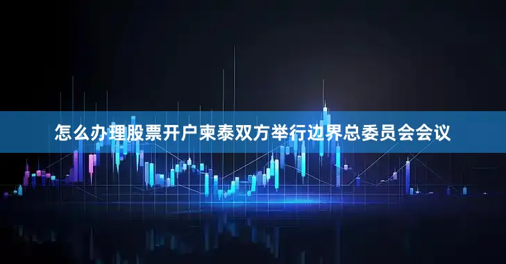 怎么办理股票开户柬泰双方举行边界总委员会会议