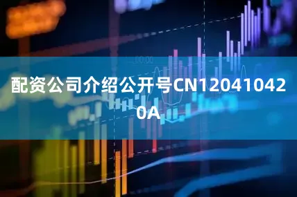 配资公司介绍公开号CN120410420A