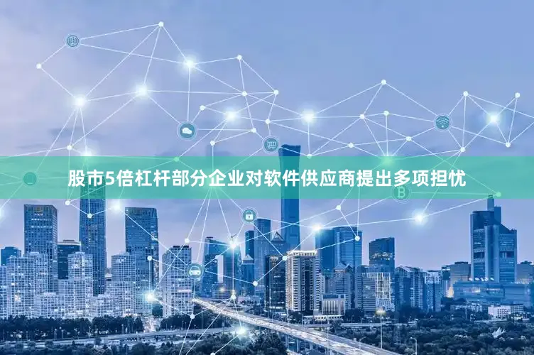 股市5倍杠杆部分企业对软件供应商提出多项担忧