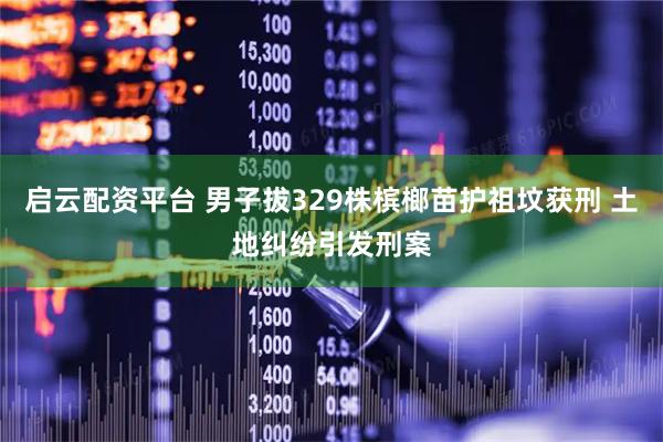 启云配资平台 男子拔329株槟榔苗护祖坟获刑 土地纠纷引发刑案